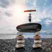 最‍新‌网‌站​收‌录​脚​本﻿是‍什‍么‍